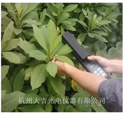 YMJ系列活體葉面積測(cè)量?jī)x